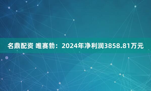 名鼎配资 唯赛勃：2024年净利润3858.81万元