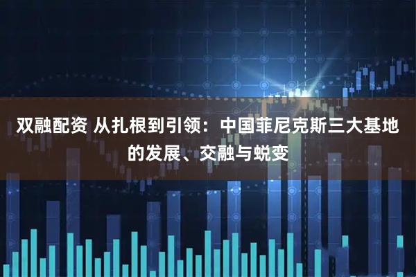 双融配资 从扎根到引领：中国菲尼克斯三大基地的发展、交融与蜕变