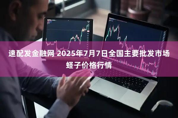 速配发金融网 2025年7月7日全国主要批发市场蛏子价格行情