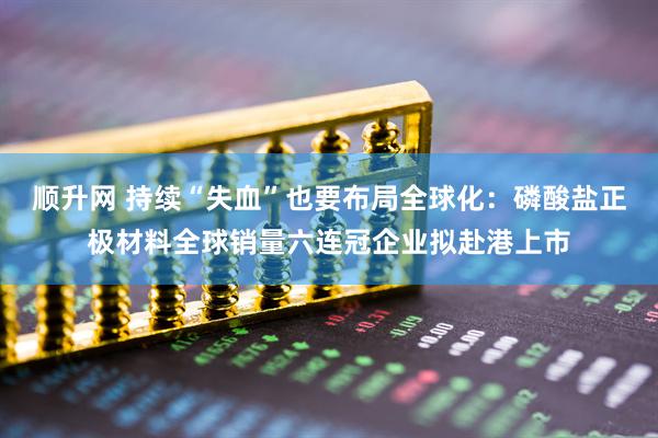 顺升网 持续“失血”也要布局全球化：磷酸盐正极材料全球销量六连冠企业拟赴港上市